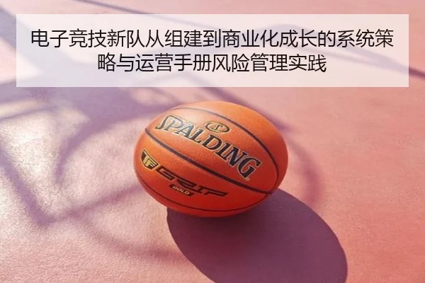电子竞技新队从组建到商业化成长的系统策略与运营手册风险管理实践